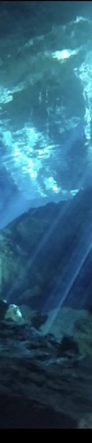 In die Grotten und Höhlen Yucatans abtauchen